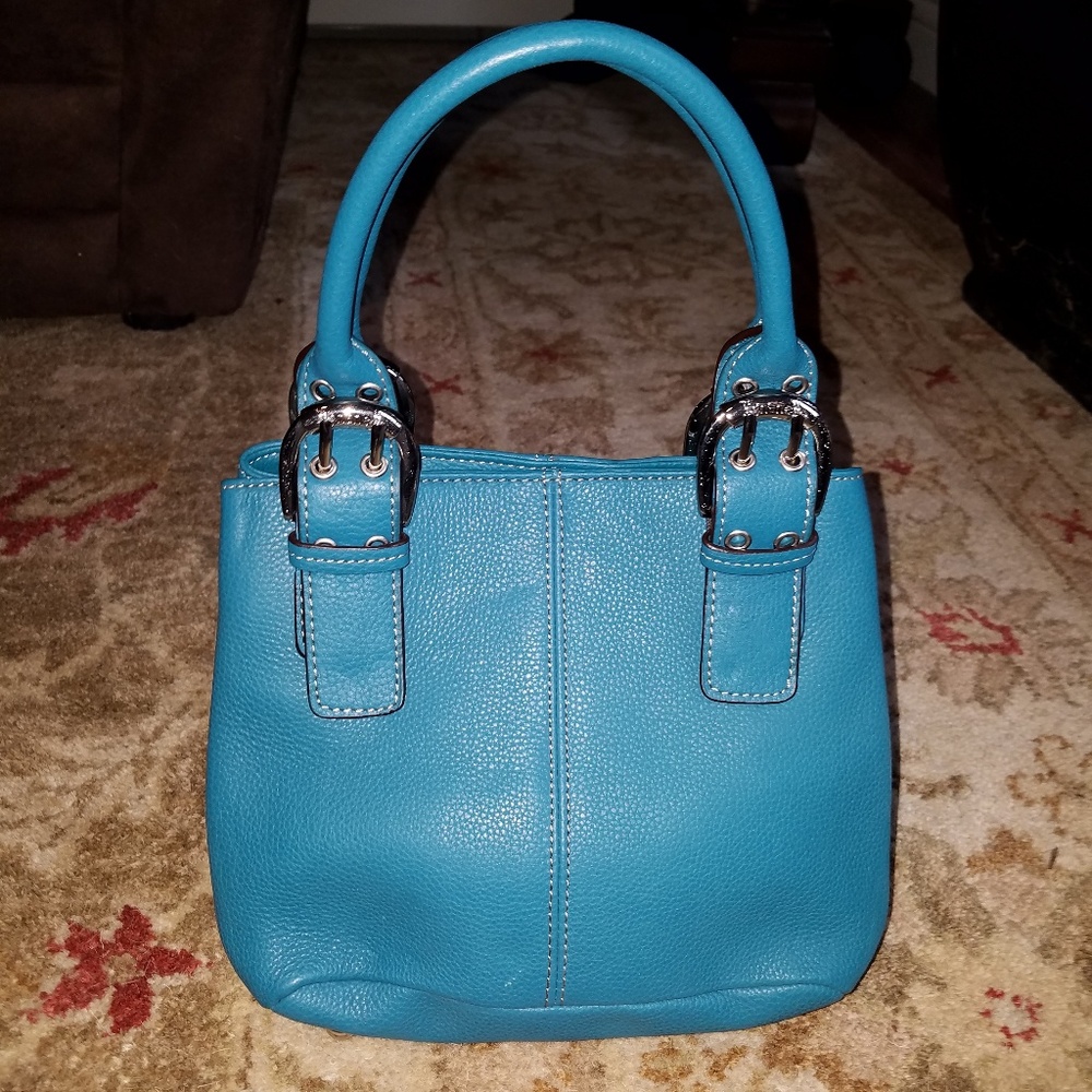 Tignanello leather small tote